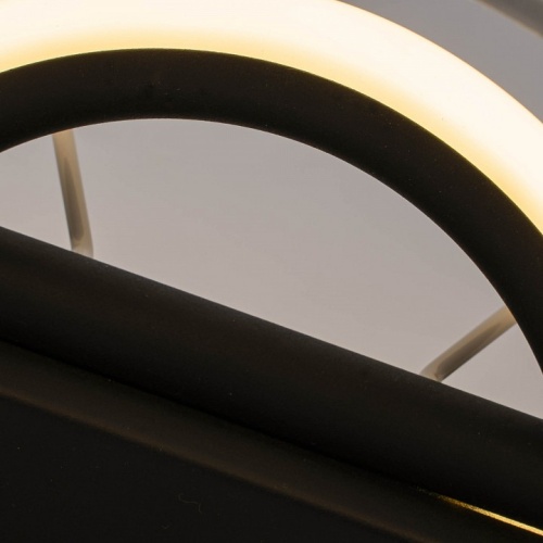 Накладной светильник F-promo Hotelero 4796-2W в Нижнем Новгороде фото 4