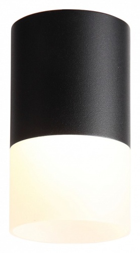 Накладной светильник ST-Luce Ottu ST100.402.10 в Соколе