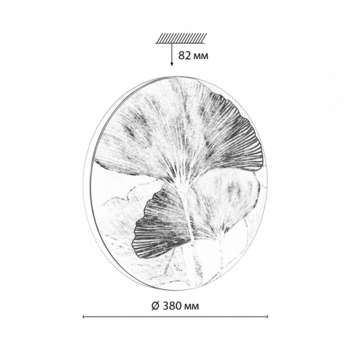Накладной светильник Sonex Floren 7747/DL в Симферополе фото 6