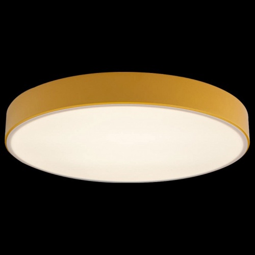 Накладной светильник Loft it Axel 1 10002/24 Yellow в Нижнем Новгороде фото 4