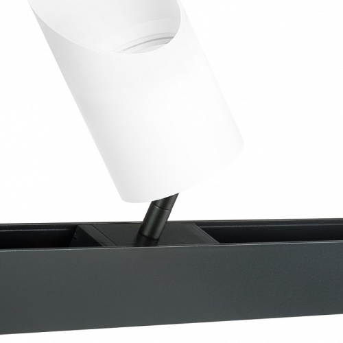 Светильник на штанге Lightstar Rullo PRO348686 в Нижнем Новгороде фото 3