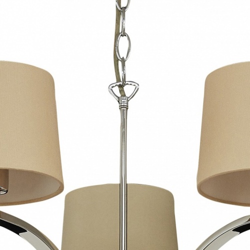 Подвесная люстра Divinare Soprano 1341/02 LM-5 в Нижнем Новгороде фото 2