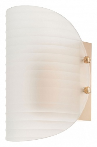 Накладной светильник Rivoli Mariana Б0066487 в Нижнем Новгороде