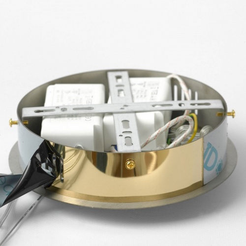 Подвесной светильник Lussole Citrus LSP-7158 в Нижнем Новгороде фото 3