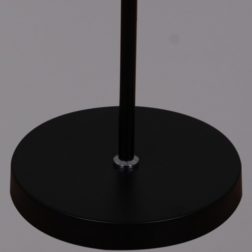 Торшер 03041-0.6-01 BK в Нижнем Новгороде фото 4