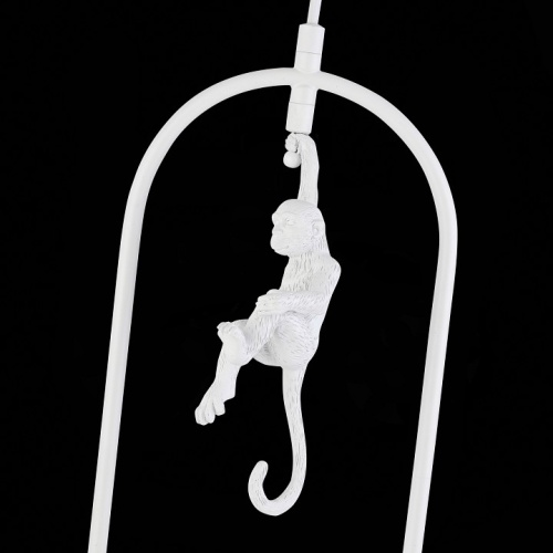 Подвесной светильник EVOLUCE Tenato SLE115123-01 в Нижнем Новгороде фото 2