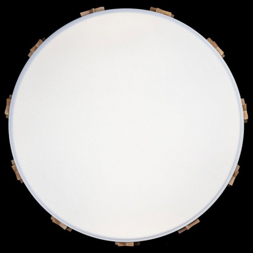 Накладной светильник Loft it Axel 5 10006/36 White в Нижнем Новгороде фото 2