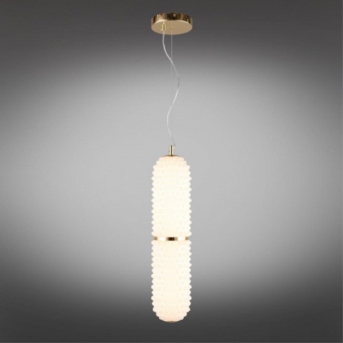 Подвесной светильник Aployt Ozeynn APL.332.06.22 в Нижнем Новгороде фото 15