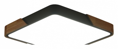 Накладной светильник Zortes Alberro ZRS.01288.24 в Нижнем Новгороде фото 4