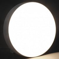 Накладной светильник iLedex Mercury 5551-24W-D160-3/4/6K-WH в Нижнем Новгороде