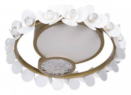 Накладной светильник Loft it Bride 10173 в Нижнем Новгороде фото 4