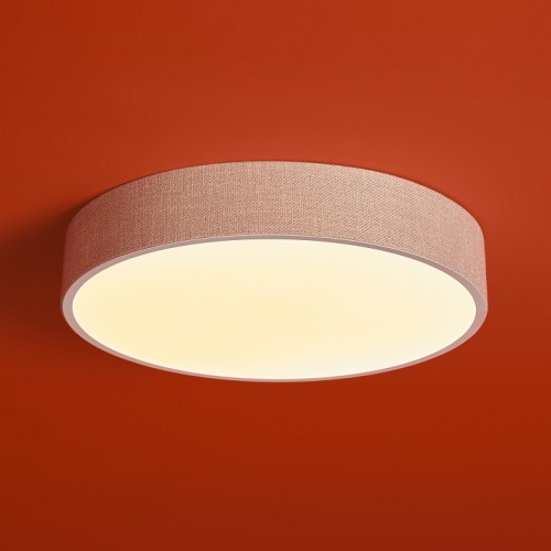 Накладной светильник Freya Ruler FR5555CL-L30BGG в Нижнем Новгороде фото 6