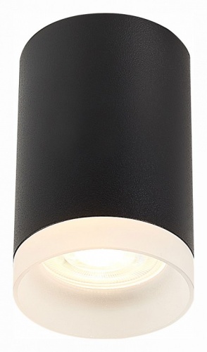 Накладной светильник ST-Luce ST100 ST100.402.01 в Кропоткине фото 4