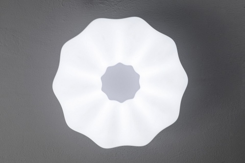 Накладной светильник Zortes Soft ZRS.1118.3 в Нижнем Новгороде фото 2