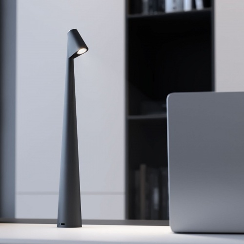 Настольная лампа декоративная Elektrostandard Elite Elite черный (TL70250) в Нижнем Новгороде фото 6