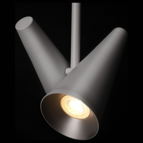 Светильник на штанге Maytoni Giro MOD095PL-02W в Нижнем Новгороде фото 2