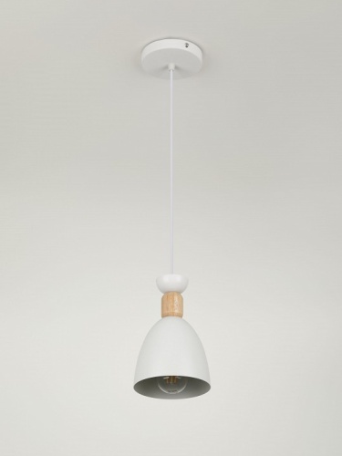 Подвесной светильник Rivoli  5109-201 в Нижнем Новгороде фото 8