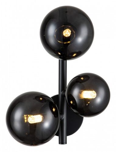 Бра Indigo Molecola 11018/3W Black в Нижнем Новгороде фото 4