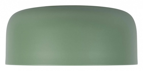 Накладной светильник Loft it Axel 10201/350 Green в Куйбышеве фото 4