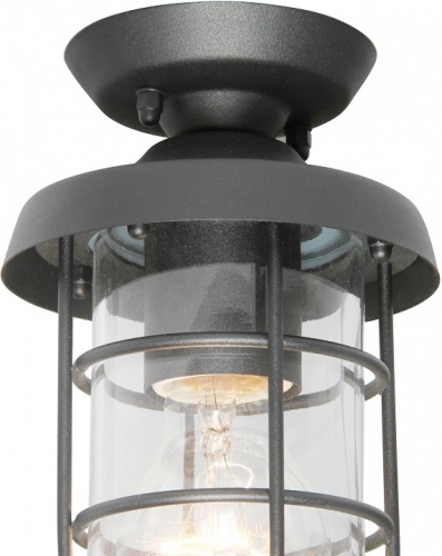 Накладной светильник Favourite Pointer 3021-1P в Нижнем Новгороде фото 3