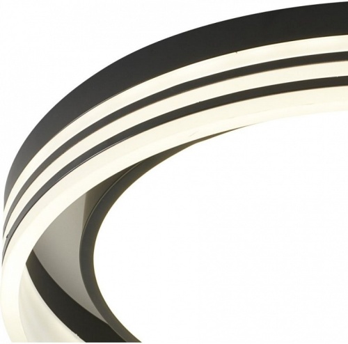 Накладной светильник Zortes Adel ZRS.1200.03 в Нижнем Новгороде фото 3