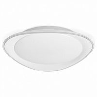 Накладной светильник Ambrella Light FF FF44 в Нижнем Новгороде