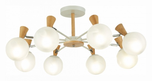 Люстра на штанге EVOLUCE Catania SLE220702-08 в Нижнем Новгороде фото 3