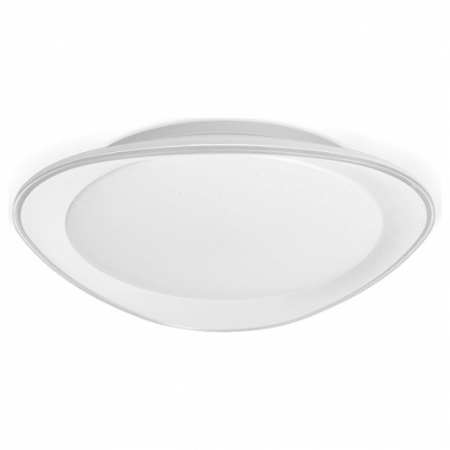 Накладной светильник Ambrella Light FF FF44 в Нижнем Новгороде