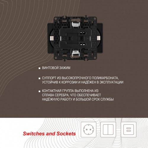 Розетка двойная с заземлением, без рамки Arte Milano am-217 217.40-2.black в Нижнем Новгороде фото 2