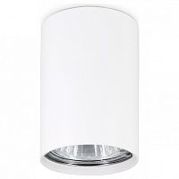 Накладной светильник Ambrella Light TN TN213101 в Нижнем Новгороде