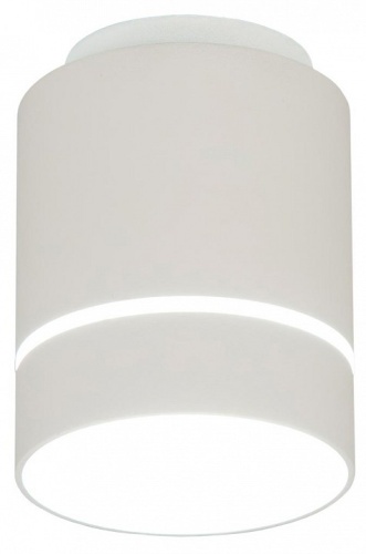 Накладной светильник Citilux Борн CL745010N в Мегионе