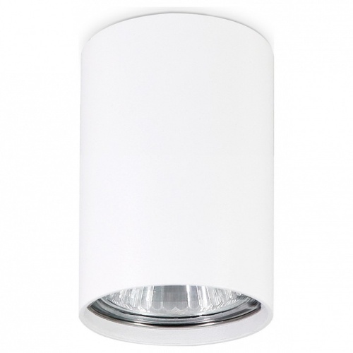 Накладной светильник Ambrella Light TN TN213101 в Нижнем Новгороде