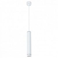 Подвесной светильник Arte Lamp Altais A6110SP-2WH в Симе