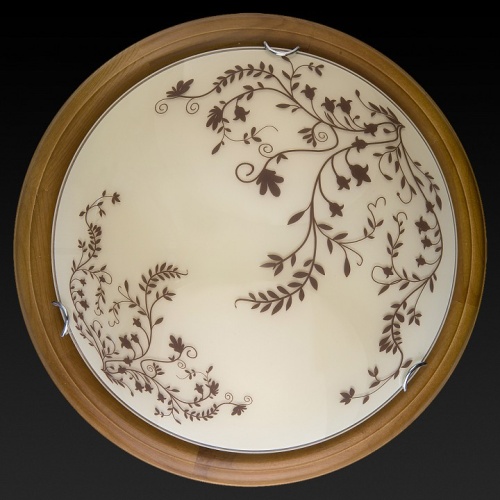 Накладной светильник TopLight Irene TL9630Y-00OA в Нижнем Новгороде фото 3