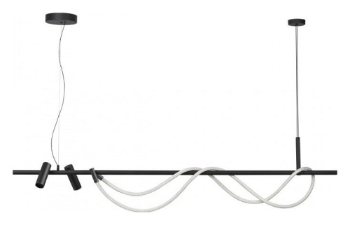 Подвесной светильник Odeon Light Corda 4391/40L в Нижнем Новгороде фото 5