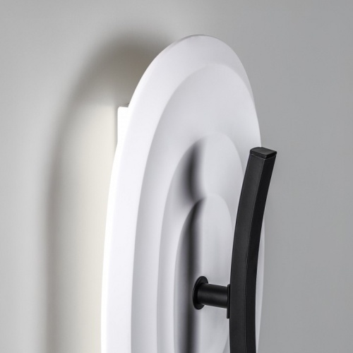 Накладной светильник Lightstar Erica 609646 в Нижнем Новгороде фото 3