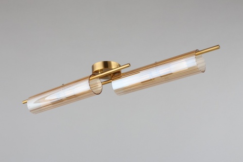 Накладной светильник Aployt Lusia APL.315.07.04 в Нижнем Новгороде фото 7