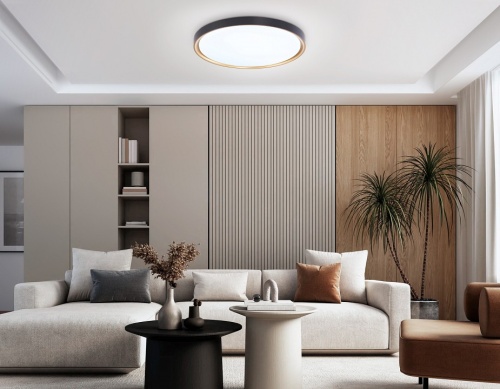 Накладной светильник Ambrella Light FZ FZ1249 в Нижнем Новгороде фото 2