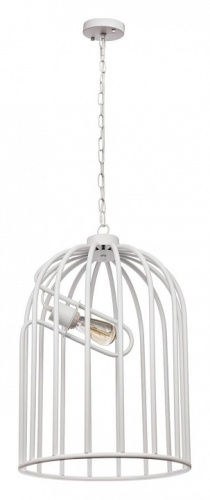 Подвесной светильник Loft it Cell LOFT1892A в Нижнем Новгороде фото 3