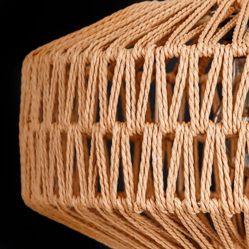 Подвесной светильник Arte Lamp BRUSHWOOD A7087SP-1BK в Нижнем Новгороде фото 2