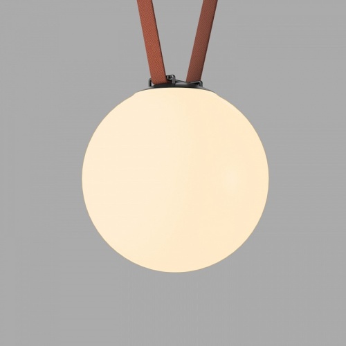 Накладной светильник Denkirs Belty Orb DK5555-BK в Нижнем Новгороде фото 12