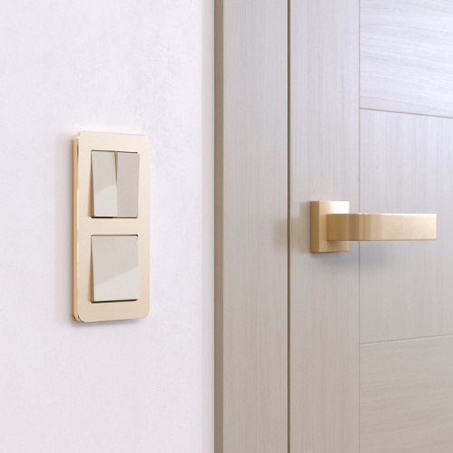 Рамка на 2 поста Werkel Platinum (шампань) W0022611 в Нижнем Новгороде фото 4