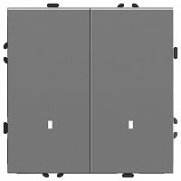 Выключатель двухклавишный с подсветкой без рамки Stekker Эмили 49942 в Нижнем Новгороде