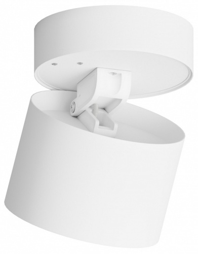 Накладной светильник Hesby Lighting Mysen HSBL_0179 в Нижнем Новгороде фото 7