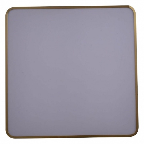 Накладной светильник Zortes Monna ZRS.1209.05 в Нижнем Новгороде фото 3