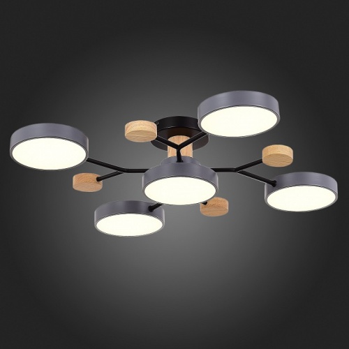 Потолочная люстра EVOLUCE Faema SLE6006-702-05 в Нижнем Новгороде фото 4