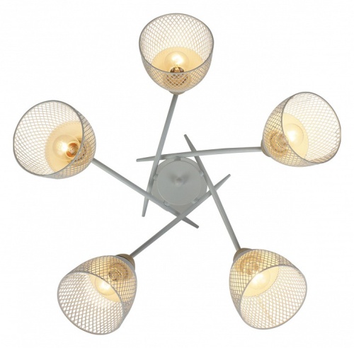 Потолочная люстра Escada Severn 516/5 в Нижнем Новгороде фото 3