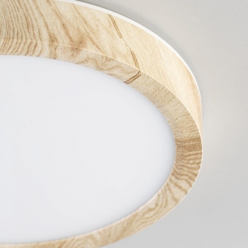 Накладной светильник Citilux Бейсик CL738122N в Нижнем Новгороде фото 4