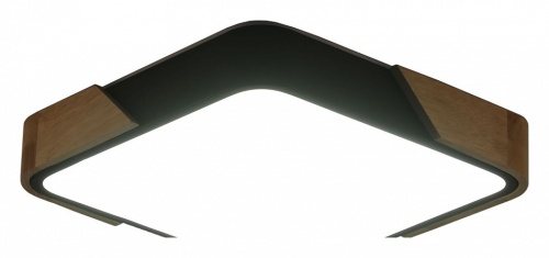 Накладной светильник Zortes Alberro ZRS.01281.60 в Нижнем Новгороде фото 4