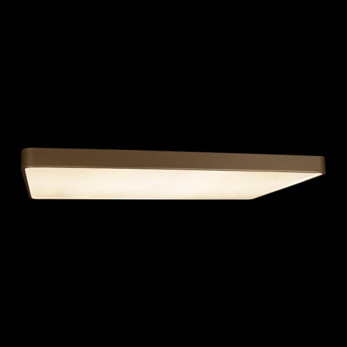 Накладной светильник Loft it Flims 10228/E в Тюмени фото 3